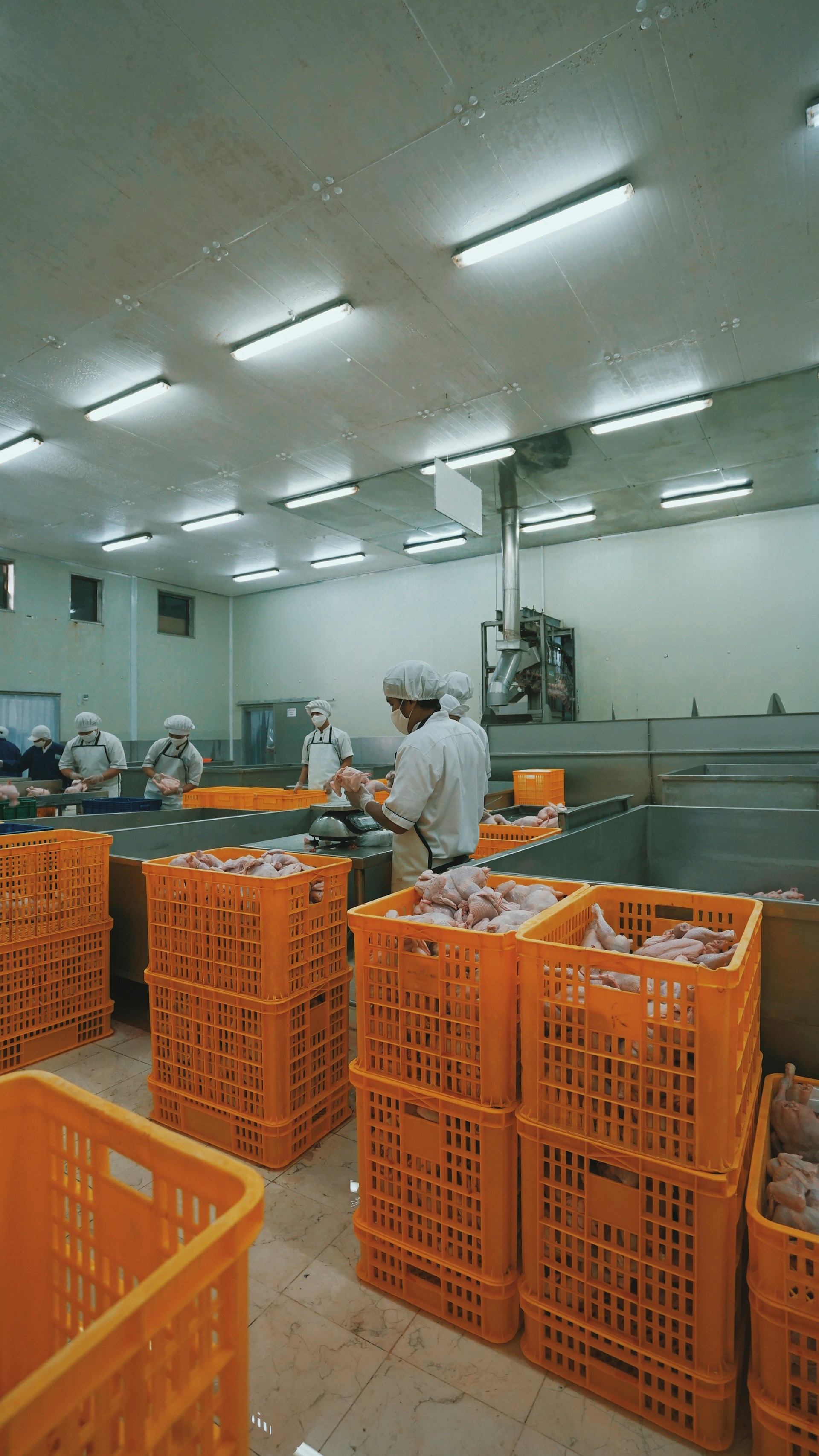 Food Manufacturers